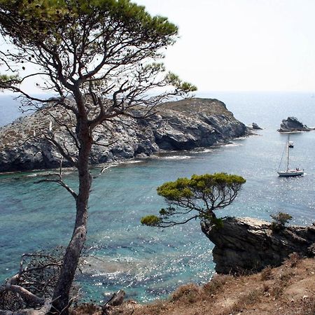 T2 Vue Mer 50M De La Plage A Giens 耶尔 外观 照片